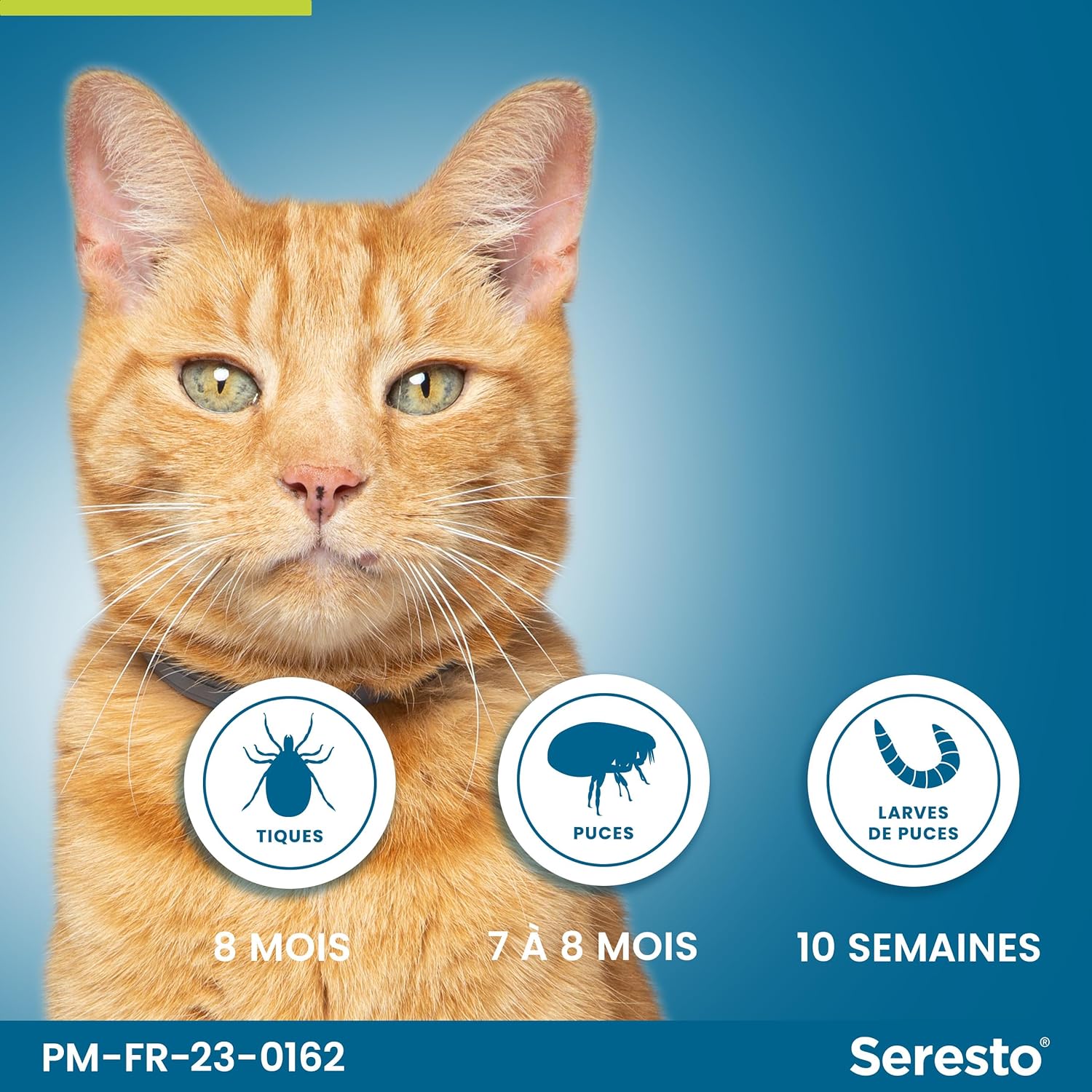 Seresto pour chats - Photo 3