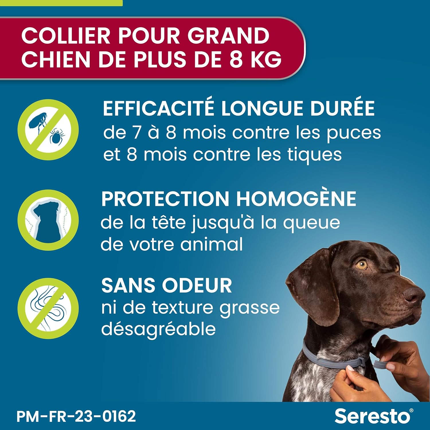 Seresto pour grands chiens - Photo 2