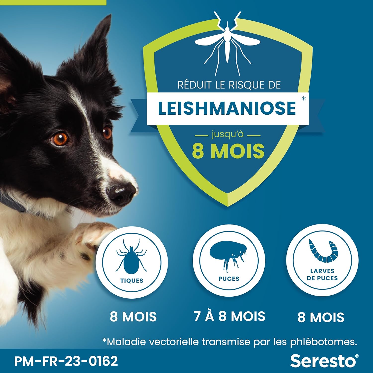 Seresto pour grands chiens - Photo 3