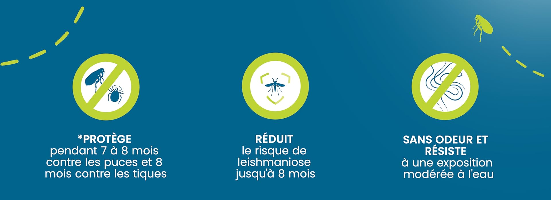 Seresto pour chiens - Information produit