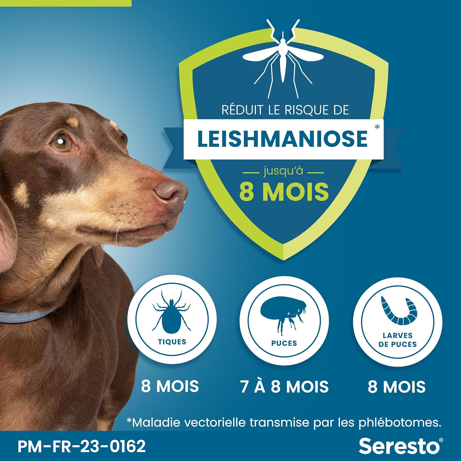 Seresto pour petits chiens - Photo 3
